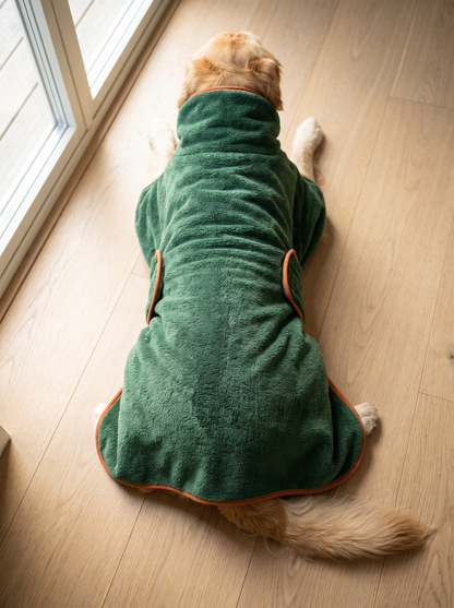 Torka — tørr hund på tretti minutter