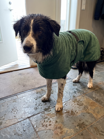 Torka — tørr hund på tretti minutter